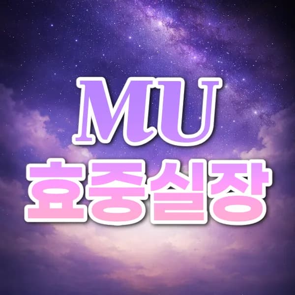 MU효중실장