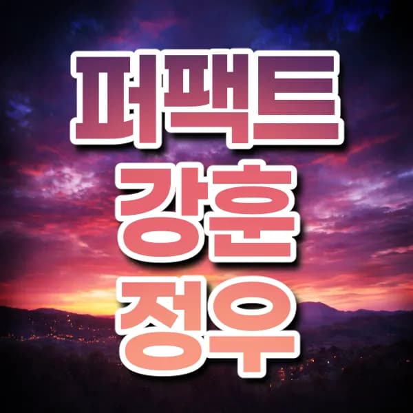 퍼팩트강훈정우