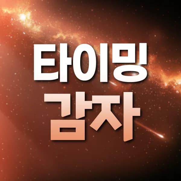 타이밍v팀감자