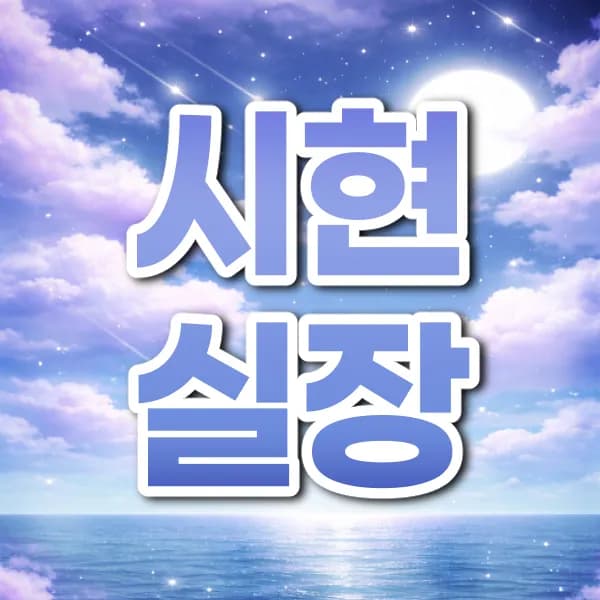 시현실장